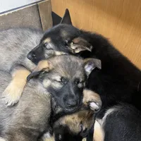 Facility photo