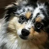 processed/961f3a80-8f7b-4a92-b61d-9c9d4774bc89/facility/35e319f2-d1e0-4daa-b887-87d6c130a6a2