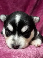 processed/961f3a80-8f7b-4a92-b61d-9c9d4774bc89/listing/0d36ee52-cc96-4987-8853-d1f2639acc6c/9c3e2980-e18f-401d-b11a-3f3af8790935