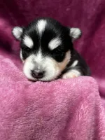 processed/961f3a80-8f7b-4a92-b61d-9c9d4774bc89/listing/0d36ee52-cc96-4987-8853-d1f2639acc6c/e9918f5b-9298-4926-9cc5-ea3f260c44c9