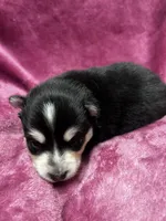 processed/961f3a80-8f7b-4a92-b61d-9c9d4774bc89/listing/0d36ee52-cc96-4987-8853-d1f2639acc6c/f800c738-2c06-4356-8b94-db8c67bc981b