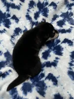 processed/961f3a80-8f7b-4a92-b61d-9c9d4774bc89/listing/595448f4-58e5-4d05-9dad-03725af2b7e3/dd0ec141-e81b-4821-8531-1181179e817c