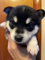 processed/961f3a80-8f7b-4a92-b61d-9c9d4774bc89/listing/595448f4-58e5-4d05-9dad-03725af2b7e3/e7264783-a65a-479d-993e-694a4d883c24