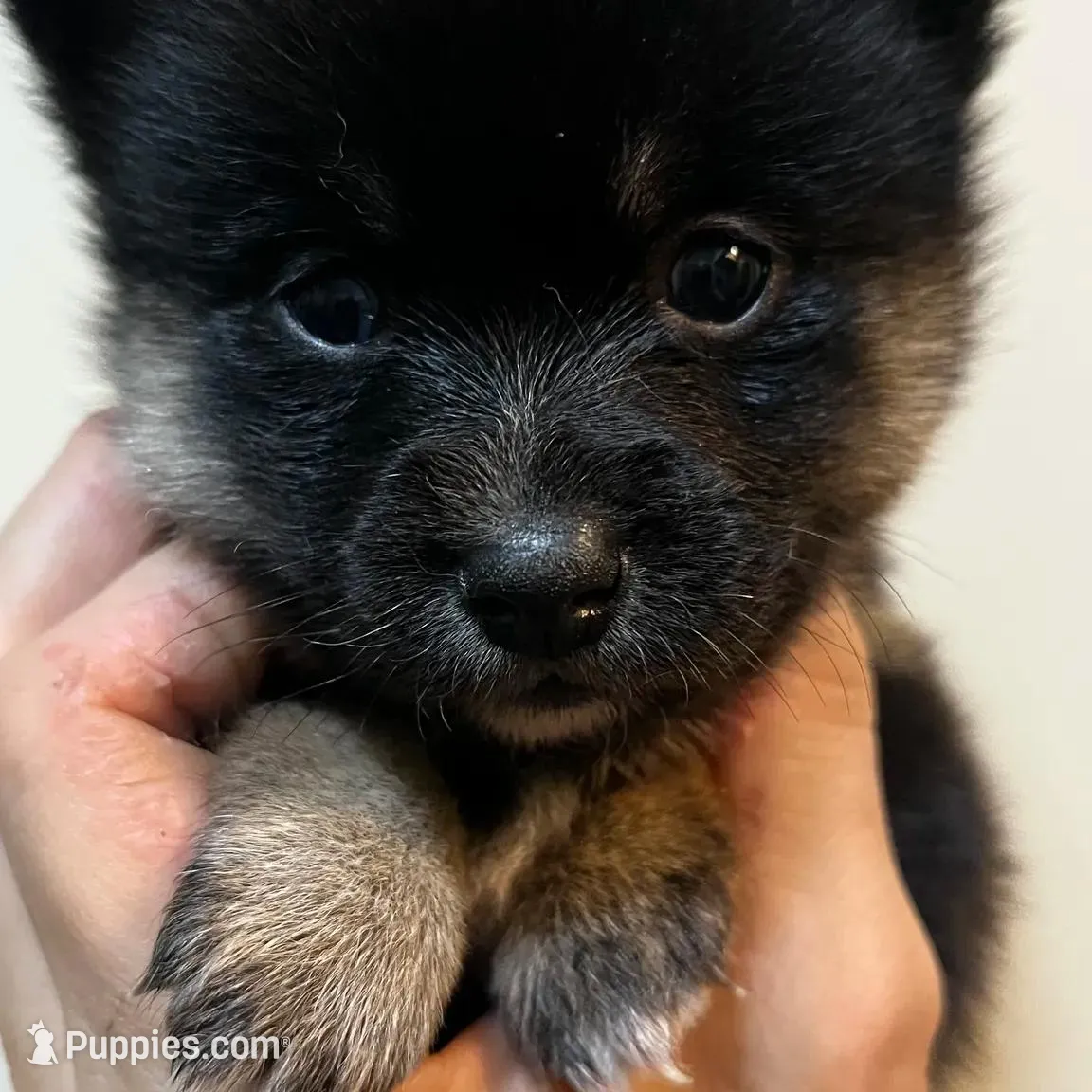 processed/961f3a80-8f7b-4a92-b61d-9c9d4774bc89/listing/6f68529d-e8db-4aeb-9333-0b168c79be9f/5d5c4897-b6f9-46f6-a38b-24339d1b269f