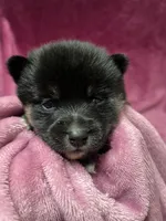 processed/961f3a80-8f7b-4a92-b61d-9c9d4774bc89/listing/6f68529d-e8db-4aeb-9333-0b168c79be9f/bef5d2f1-d5bc-48cd-8af9-f1fdb240719c