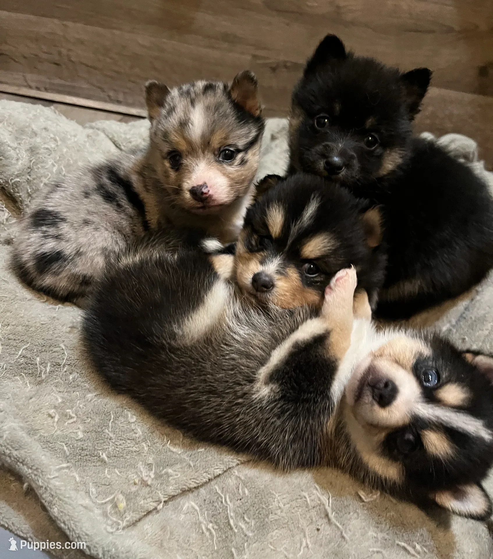 processed/961f3a80-8f7b-4a92-b61d-9c9d4774bc89/listing/6f68529d-e8db-4aeb-9333-0b168c79be9f/fad75a0e-d93a-48a2-8ad1-10ec5cdd13b3