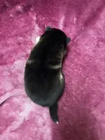 processed/961f3a80-8f7b-4a92-b61d-9c9d4774bc89/listing/924d5db2-1534-47dd-a93d-494ef9a1f9de/0c81e2e8-f51b-47af-99dd-5a4f068f0615