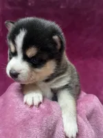 processed/961f3a80-8f7b-4a92-b61d-9c9d4774bc89/listing/924d5db2-1534-47dd-a93d-494ef9a1f9de/4b9cc092-eadb-4942-9955-d1a3d7a9dae7