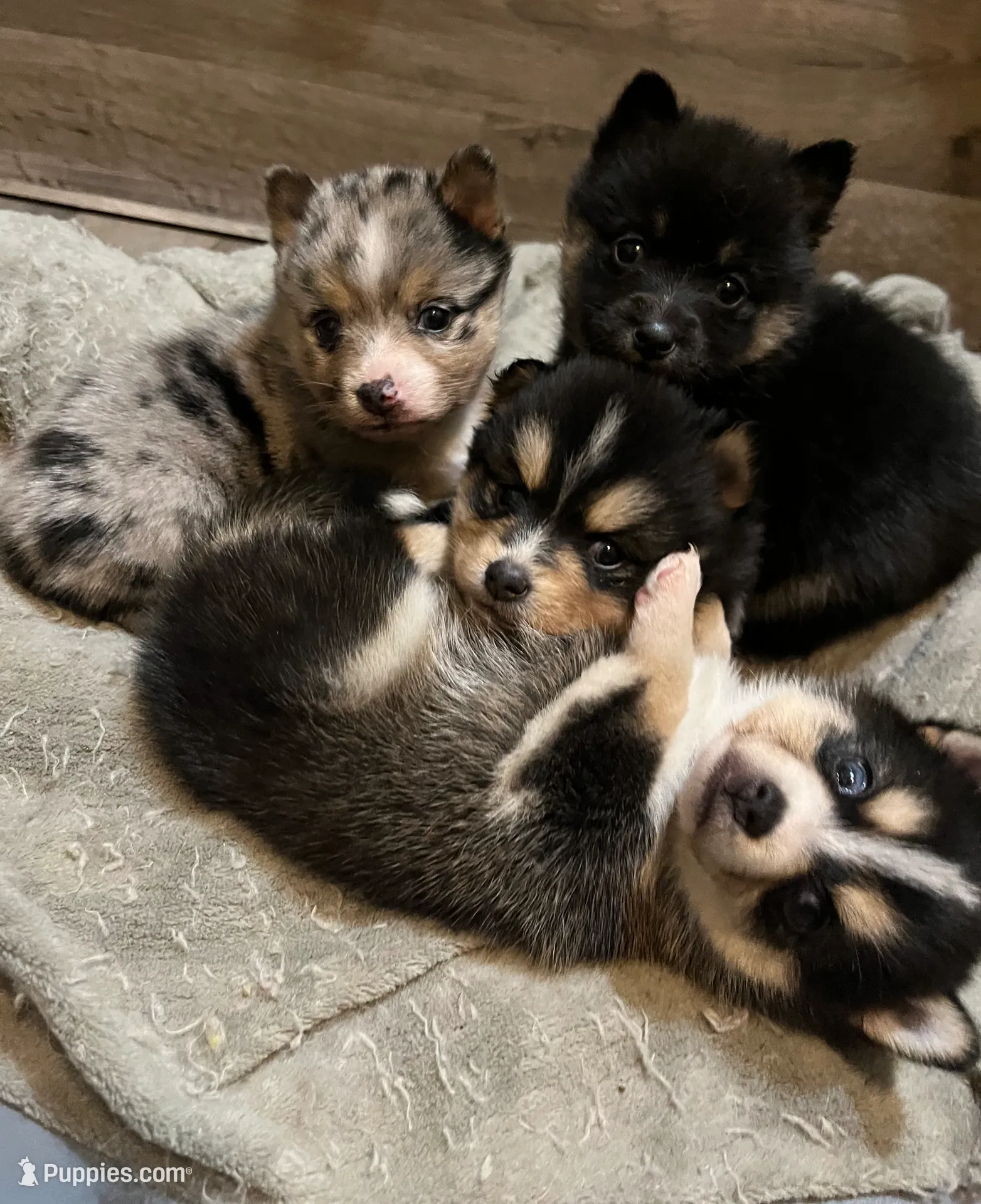 processed/961f3a80-8f7b-4a92-b61d-9c9d4774bc89/listing/924d5db2-1534-47dd-a93d-494ef9a1f9de/7e771467-f8fa-454c-a395-e93ed7d3573e