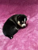 processed/961f3a80-8f7b-4a92-b61d-9c9d4774bc89/listing/924d5db2-1534-47dd-a93d-494ef9a1f9de/f7e05de6-098d-4971-9335-db846211e175