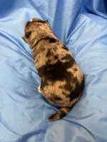 processed/961f3a80-8f7b-4a92-b61d-9c9d4774bc89/listing/f0d90108-c039-4297-9933-c88ec4c838fb/10d6c24c-6f11-44c7-a299-6fac4fccca38