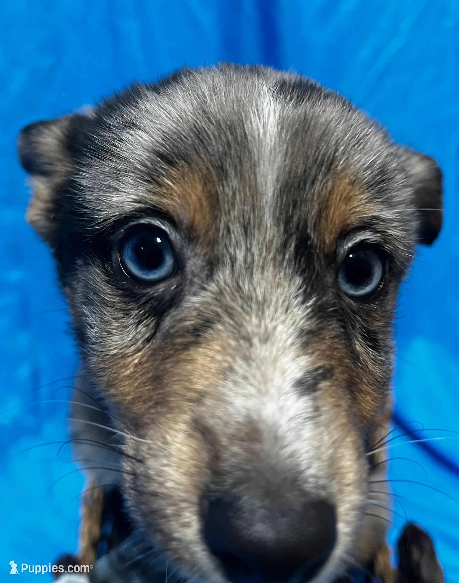 processed/961f3a80-8f7b-4a92-b61d-9c9d4774bc89/listing/f0d90108-c039-4297-9933-c88ec4c838fb/69e33521-3b09-408b-b849-27fdba505bd6