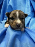 processed/961f3a80-8f7b-4a92-b61d-9c9d4774bc89/listing/f0d90108-c039-4297-9933-c88ec4c838fb/6ec089b7-3d8f-4114-bb52-a17d53f5e5f2