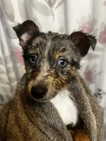 processed/961f3a80-8f7b-4a92-b61d-9c9d4774bc89/listing/f0d90108-c039-4297-9933-c88ec4c838fb/7696441f-6dcd-4ef2-b480-9d91bab05e00