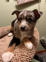 processed/961f3a80-8f7b-4a92-b61d-9c9d4774bc89/listing/f0d90108-c039-4297-9933-c88ec4c838fb/9c68d14e-c72e-4352-a444-e83180f99d66