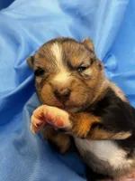 processed/961f3a80-8f7b-4a92-b61d-9c9d4774bc89/listing/f0d90108-c039-4297-9933-c88ec4c838fb/d43bc010-4ced-456d-be4c-b3571bec382e