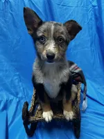 processed/961f3a80-8f7b-4a92-b61d-9c9d4774bc89/listing/f0d90108-c039-4297-9933-c88ec4c838fb/dcedbd1a-9510-4f78-9d16-9ceaeda86303