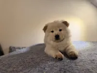 processed/963a129c-c6ce-404f-96e1-a02450a5700d/listing/0db10bc1-69d3-41b1-b5d1-19878515ce71/7f61caba-cac1-4389-8385-e16088d726ac