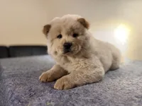 processed/963a129c-c6ce-404f-96e1-a02450a5700d/listing/0db10bc1-69d3-41b1-b5d1-19878515ce71/e8c58da9-28ef-4967-908b-7e2aa698d82e