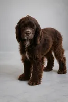 processed/963bb7bf-372c-4975-bfee-f4d3a5276f6a/listing/626bdac3-c0b4-4616-a796-0680ecb99b18/47b1020c-944d-43e0-8b2a-c8fcbf9dfb7c