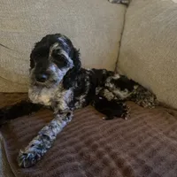 processed/9645b68c-0e5a-4469-8aea-920e285327b6/facility/fd682a04-1875-4806-b36f-9534a4d7090a