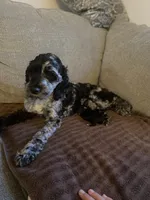 processed/9645b68c-0e5a-4469-8aea-920e285327b6/facility/fd682a04-1875-4806-b36f-9534a4d7090a