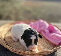 processed/964d0210-40aa-48d4-9e80-7ceb0a244d6e/listing/3f7a7df0-3136-429b-a447-b23400973e72/24b9f23c-a4df-4352-becc-f06b1c99b5ea