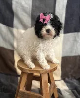 processed/964d0210-40aa-48d4-9e80-7ceb0a244d6e/listing/3f7a7df0-3136-429b-a447-b23400973e72/7ed5dad2-a928-491a-ab45-e325dad99e77