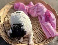 processed/964d0210-40aa-48d4-9e80-7ceb0a244d6e/listing/3f7a7df0-3136-429b-a447-b23400973e72/8baea945-19a1-4b39-ac6c-4a738c27c6e5