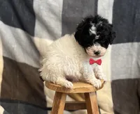 processed/964d0210-40aa-48d4-9e80-7ceb0a244d6e/listing/ca52f533-58e2-4a43-abfb-24300d602bbc/03fbfbb0-4900-4eb6-92ec-6b44146bd677