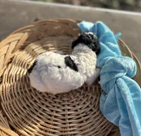 processed/964d0210-40aa-48d4-9e80-7ceb0a244d6e/listing/ca52f533-58e2-4a43-abfb-24300d602bbc/ee789cea-3d59-481d-99fd-779a046cd22e