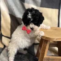 processed/964d0210-40aa-48d4-9e80-7ceb0a244d6e/listing/ca52f533-58e2-4a43-abfb-24300d602bbc/eed8a8f4-7260-4ee0-bc62-bc06e33dc207