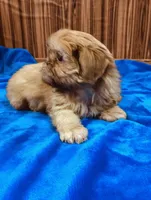 processed/96502fcc-5d4c-436b-9d7e-0e4b5073b762/listing/1bc70da9-4051-47f4-9005-8f169ec17acb/417b7c7d-48e3-4010-bd01-7c529db24f3d