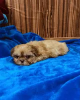 processed/96502fcc-5d4c-436b-9d7e-0e4b5073b762/listing/1bc70da9-4051-47f4-9005-8f169ec17acb/56dd4105-8efe-4843-99b1-fb67755577a9