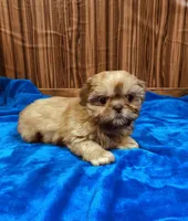 processed/96502fcc-5d4c-436b-9d7e-0e4b5073b762/listing/1bc70da9-4051-47f4-9005-8f169ec17acb/67cc8440-6e3b-4774-ae93-ab9b5a4efc78