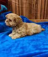 processed/96502fcc-5d4c-436b-9d7e-0e4b5073b762/listing/1bc70da9-4051-47f4-9005-8f169ec17acb/9baea30c-0534-412b-9d60-f0fb936903ba