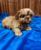 processed/96502fcc-5d4c-436b-9d7e-0e4b5073b762/listing/1bc70da9-4051-47f4-9005-8f169ec17acb/bae29b8d-d597-438e-8166-6f2b6a38bf5f