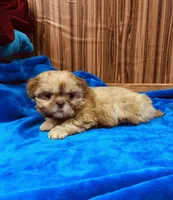 processed/96502fcc-5d4c-436b-9d7e-0e4b5073b762/listing/1bc70da9-4051-47f4-9005-8f169ec17acb/c0ea9c51-345a-45e1-8a6f-94acc60e2b79