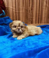 processed/96502fcc-5d4c-436b-9d7e-0e4b5073b762/listing/1bc70da9-4051-47f4-9005-8f169ec17acb/c96279ba-2ba0-47c0-bd55-82ded2b7d764