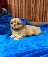 processed/96502fcc-5d4c-436b-9d7e-0e4b5073b762/listing/1bc70da9-4051-47f4-9005-8f169ec17acb/f1e7b313-545c-4716-b0c1-1dd1322f141f