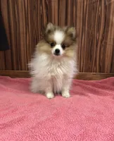 processed/96502fcc-5d4c-436b-9d7e-0e4b5073b762/listing/1d99b1b4-e314-431c-89ca-98b1ac418ffe/ab1e3b4b-7a73-46fd-bc45-6cf20f5de766