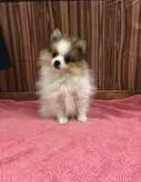 processed/96502fcc-5d4c-436b-9d7e-0e4b5073b762/listing/1d99b1b4-e314-431c-89ca-98b1ac418ffe/c3a5a53f-b23a-4941-971e-8f5636945ed8