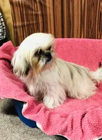 processed/96502fcc-5d4c-436b-9d7e-0e4b5073b762/listing/34bafd31-ad5b-446e-8aeb-7efd04842230/199a88f0-16d8-450d-8b3a-eb7f2e3d96fe