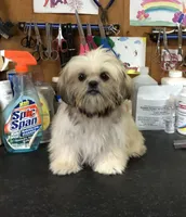 processed/96502fcc-5d4c-436b-9d7e-0e4b5073b762/listing/34bafd31-ad5b-446e-8aeb-7efd04842230/599aef4e-9f30-4eca-a074-d15c691516ab