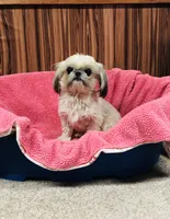 processed/96502fcc-5d4c-436b-9d7e-0e4b5073b762/listing/34bafd31-ad5b-446e-8aeb-7efd04842230/70ec88a8-11e1-4faa-bcbb-3f0b2c943ce4