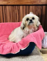 processed/96502fcc-5d4c-436b-9d7e-0e4b5073b762/listing/34bafd31-ad5b-446e-8aeb-7efd04842230/97f29a1f-efa5-4573-a6c7-4689b707816c