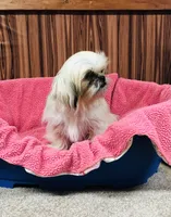 processed/96502fcc-5d4c-436b-9d7e-0e4b5073b762/listing/34bafd31-ad5b-446e-8aeb-7efd04842230/a40bcb5e-06e9-4222-b6ea-e85db2eb43fb