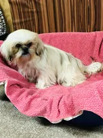 processed/96502fcc-5d4c-436b-9d7e-0e4b5073b762/listing/34bafd31-ad5b-446e-8aeb-7efd04842230/a80bb289-311f-471b-a060-579e215ead94