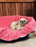 processed/96502fcc-5d4c-436b-9d7e-0e4b5073b762/listing/34bafd31-ad5b-446e-8aeb-7efd04842230/a8d9d172-f54c-4e1e-bfcc-65da71e3c86c