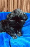 processed/96502fcc-5d4c-436b-9d7e-0e4b5073b762/listing/3c915850-fb9f-43fa-8fde-08da4beb3b54/3626d0fb-6d73-4532-af75-5c73d08a184c